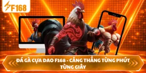 Đá Gà Cựa Dao F168 - Căng Thẳng Từng Phút Từng Giây