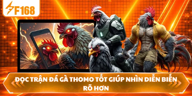 Đọc trận đá gà Thomo tốt giúp nhìn diễn biến rõ hơn
